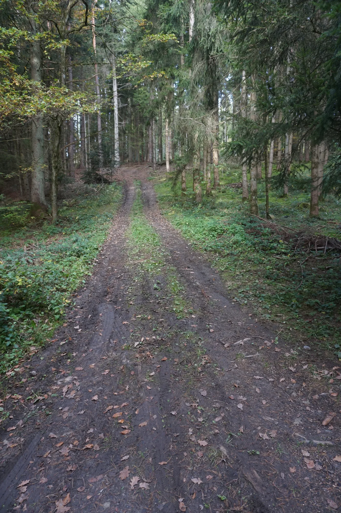 Weg zum Friedhof in Gantenwald