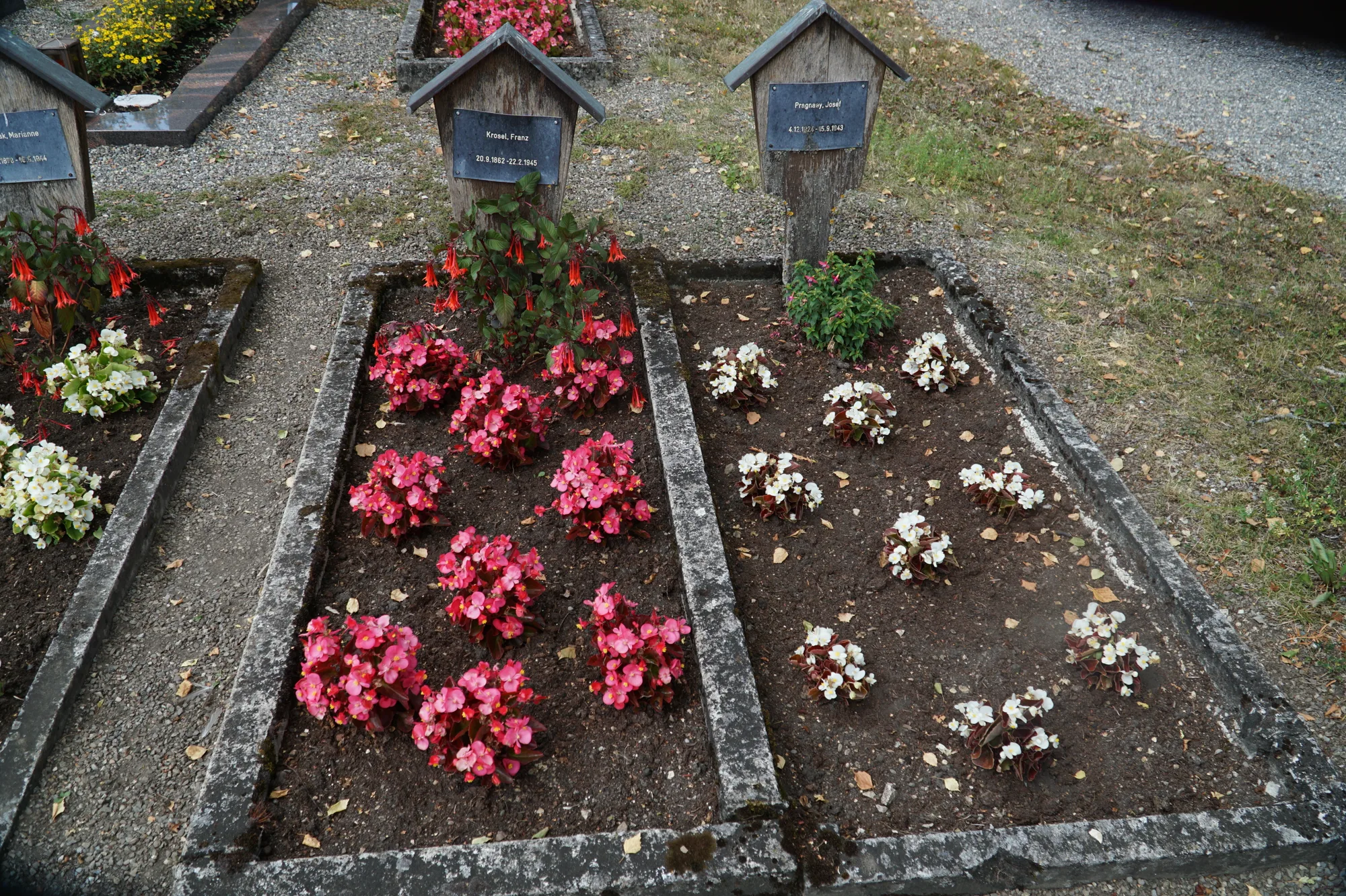 Groby polskich ofiar wojny w Schelklingen przed likwidacją