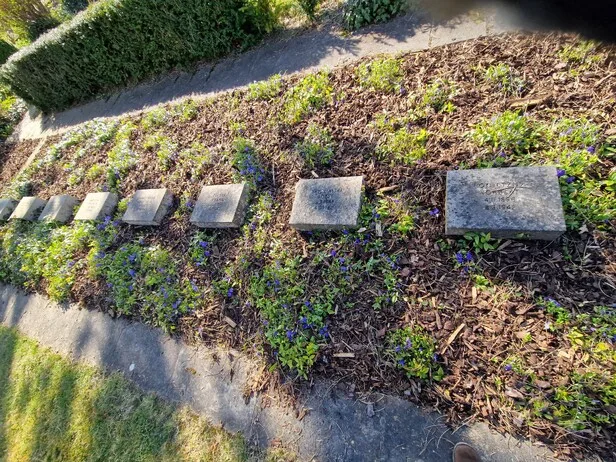 Bad Salzungen – Husenfriedhof — zdjęcie 2