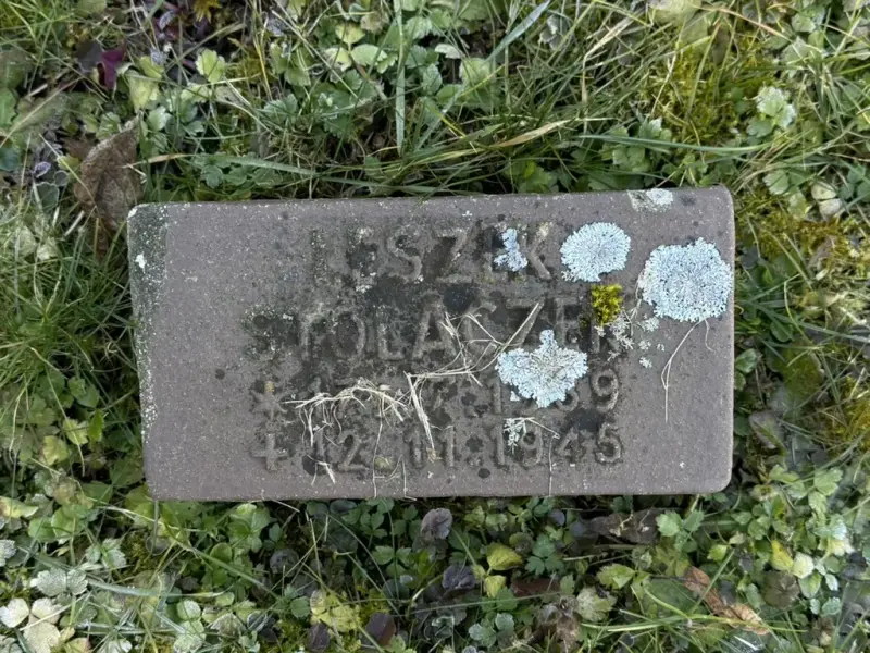 Wertheim — zdjęcie 8
