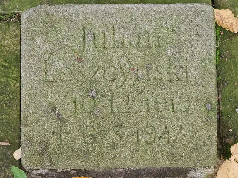 Fürstenau — zdjęcie 21