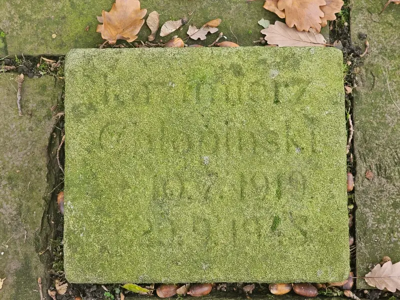 Fürstenau — zdjęcie 33