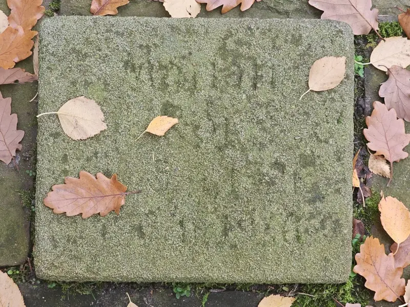 Fürstenau — zdjęcie 2