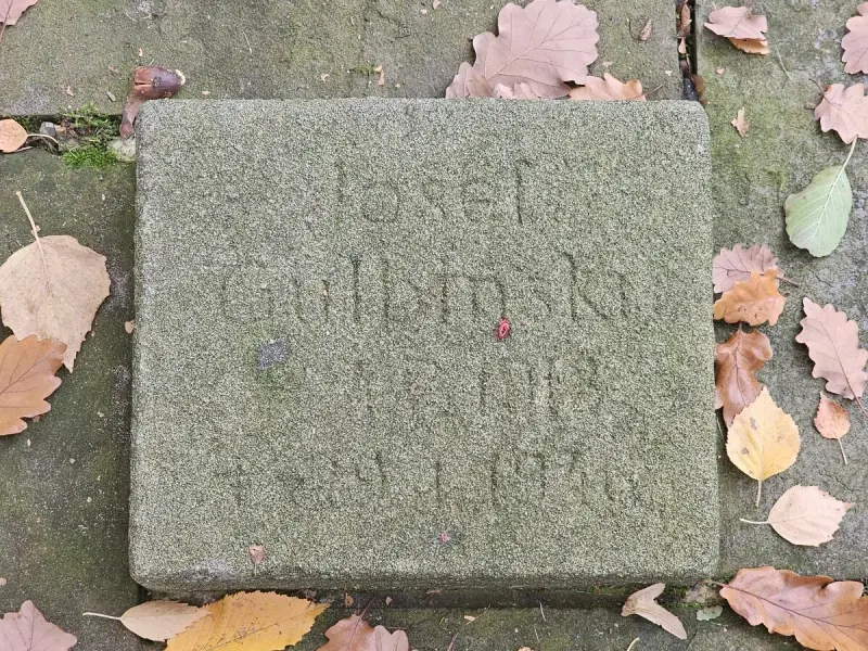 Fürstenau — zdjęcie 8