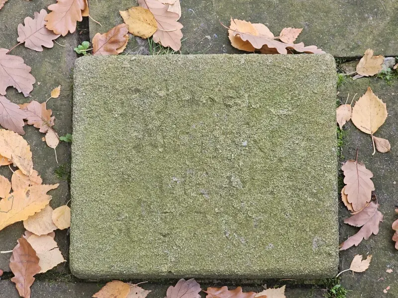 Fürstenau — zdjęcie 6