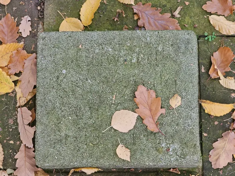 Fürstenau — zdjęcie 18