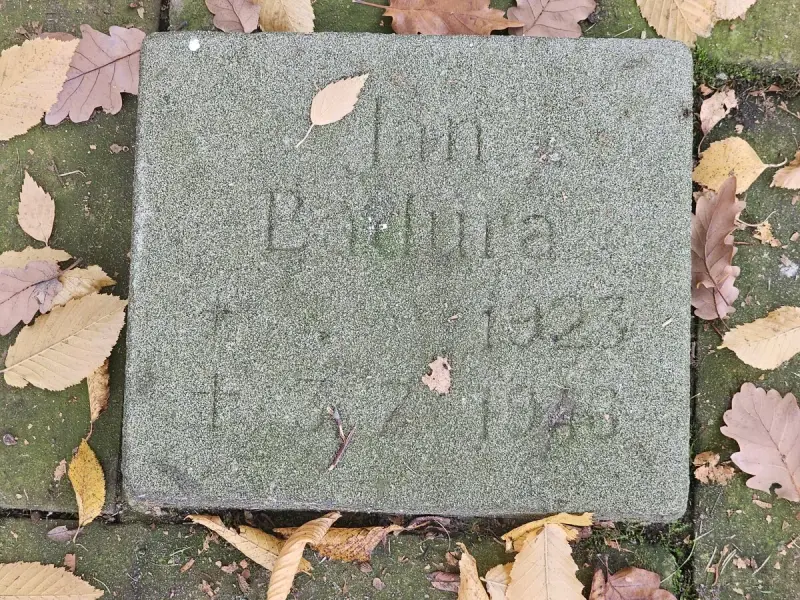 Fürstenau — zdjęcie 19