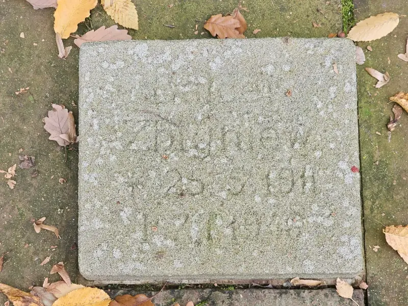Fürstenau — zdjęcie 13