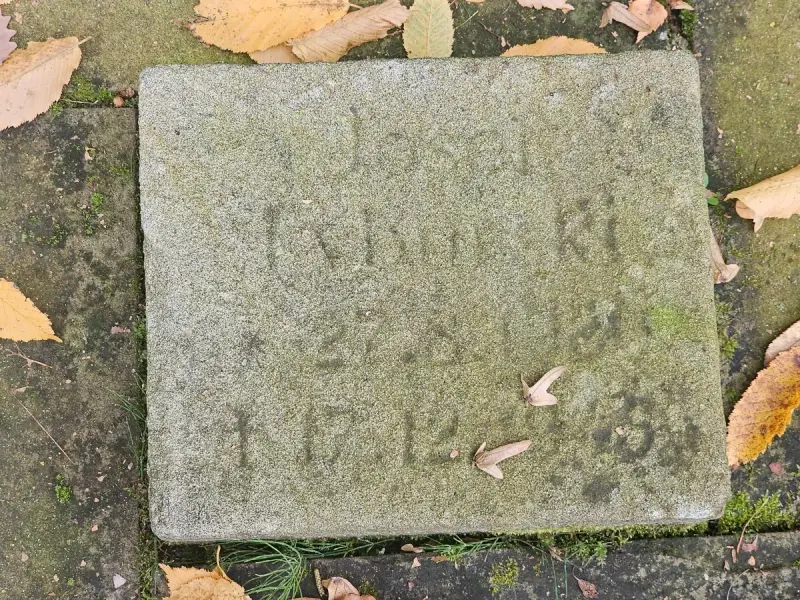 Fürstenau — zdjęcie 15