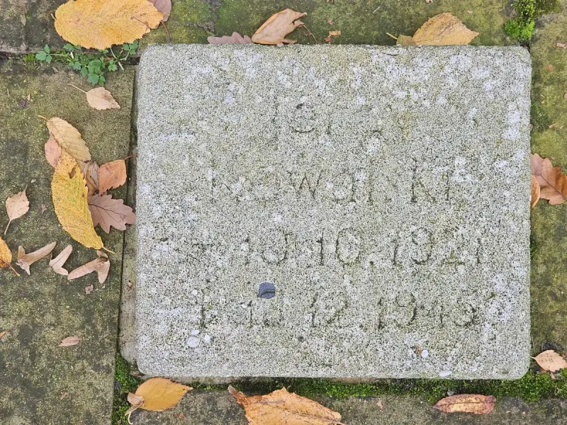 Fürstenau — zdjęcie 14