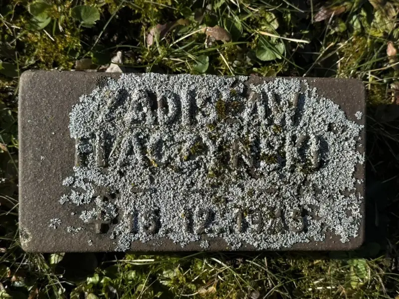 Wertheim — zdjęcie 13