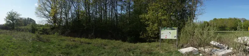 Neunheim — zdjęcie 2