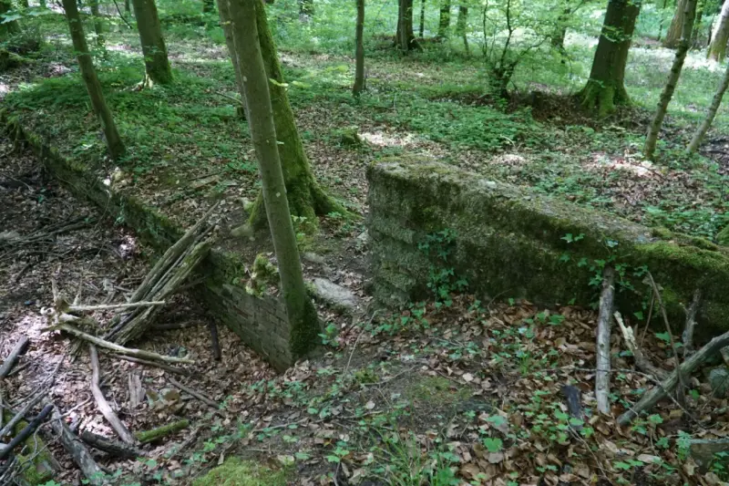 Asbach — zdjęcie 2