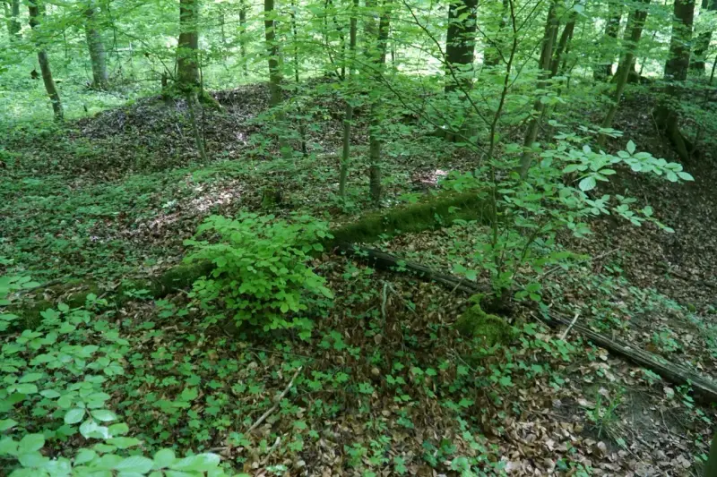 Asbach — zdjęcie 3