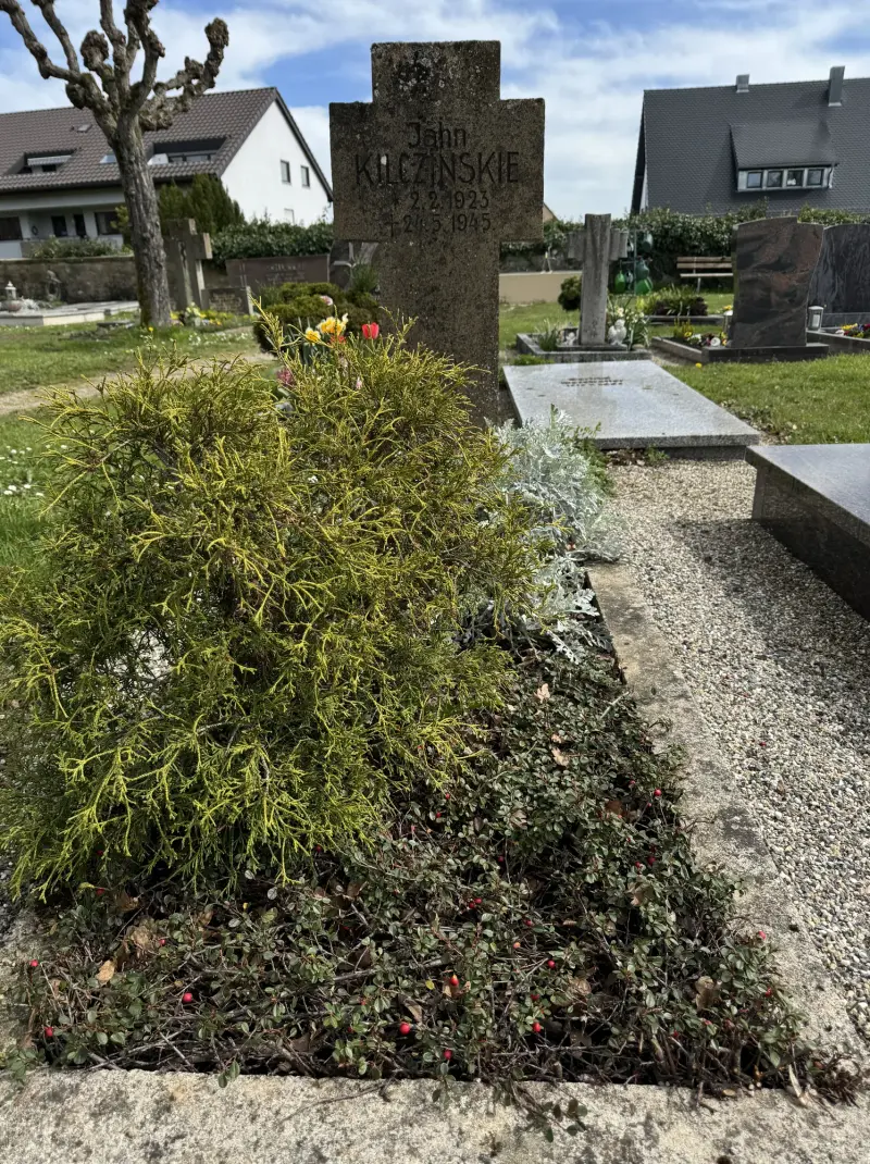 Grób Jana Kilczynskie w. Bad Rappenau: kamienny krzyż i. nasadzenia w. obrębie mogiły — Polski grób w Bad Rappenau Friedhof Bad Rappenau