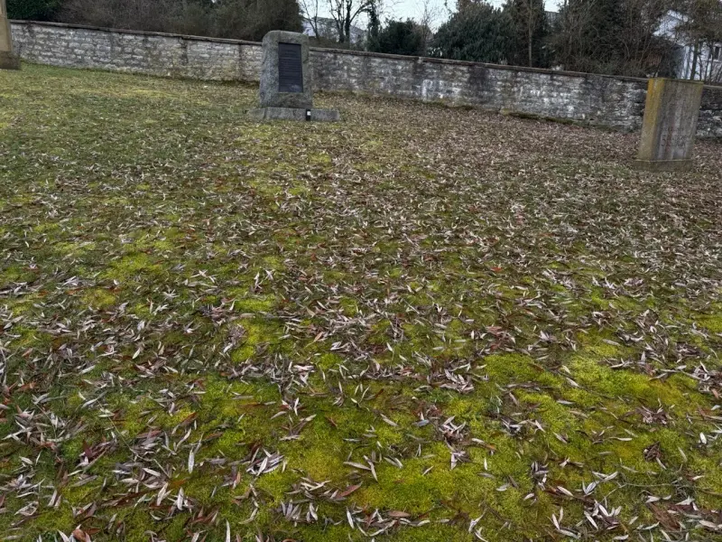 Osterburken — zdjęcie 3
