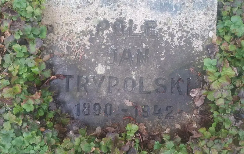 Jan Trypolski — Dorsten