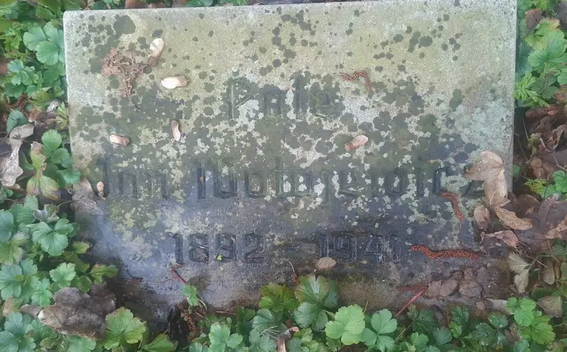 Jan Wołagiewicz — Dorsten