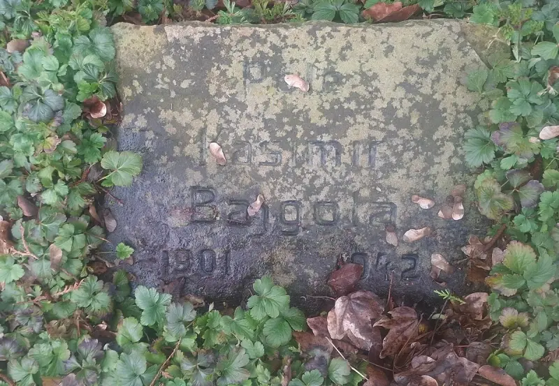 Kasimir Bajgota — Dorsten